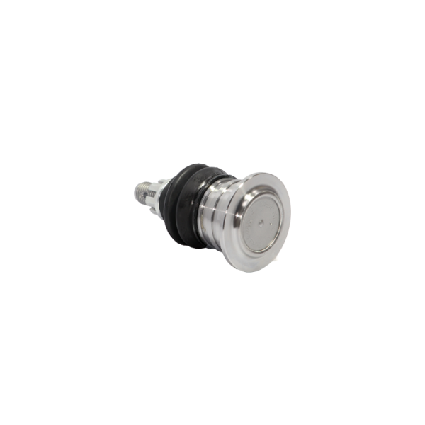 SB-3881 - Image 2