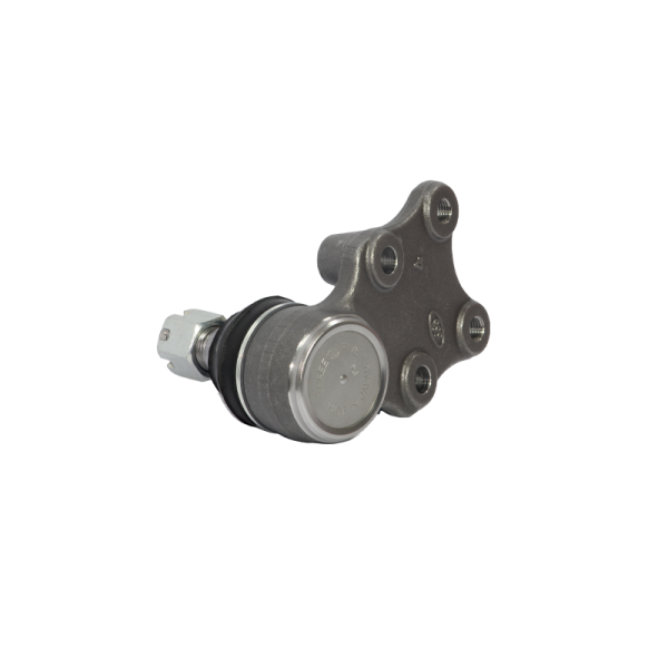 SB-5282 - Image 2